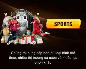 Cá cược các môn thể thao khác tại fe88